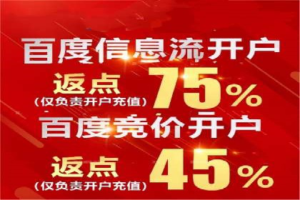 百度竞价广告运营的技巧与误区：成功案例解析